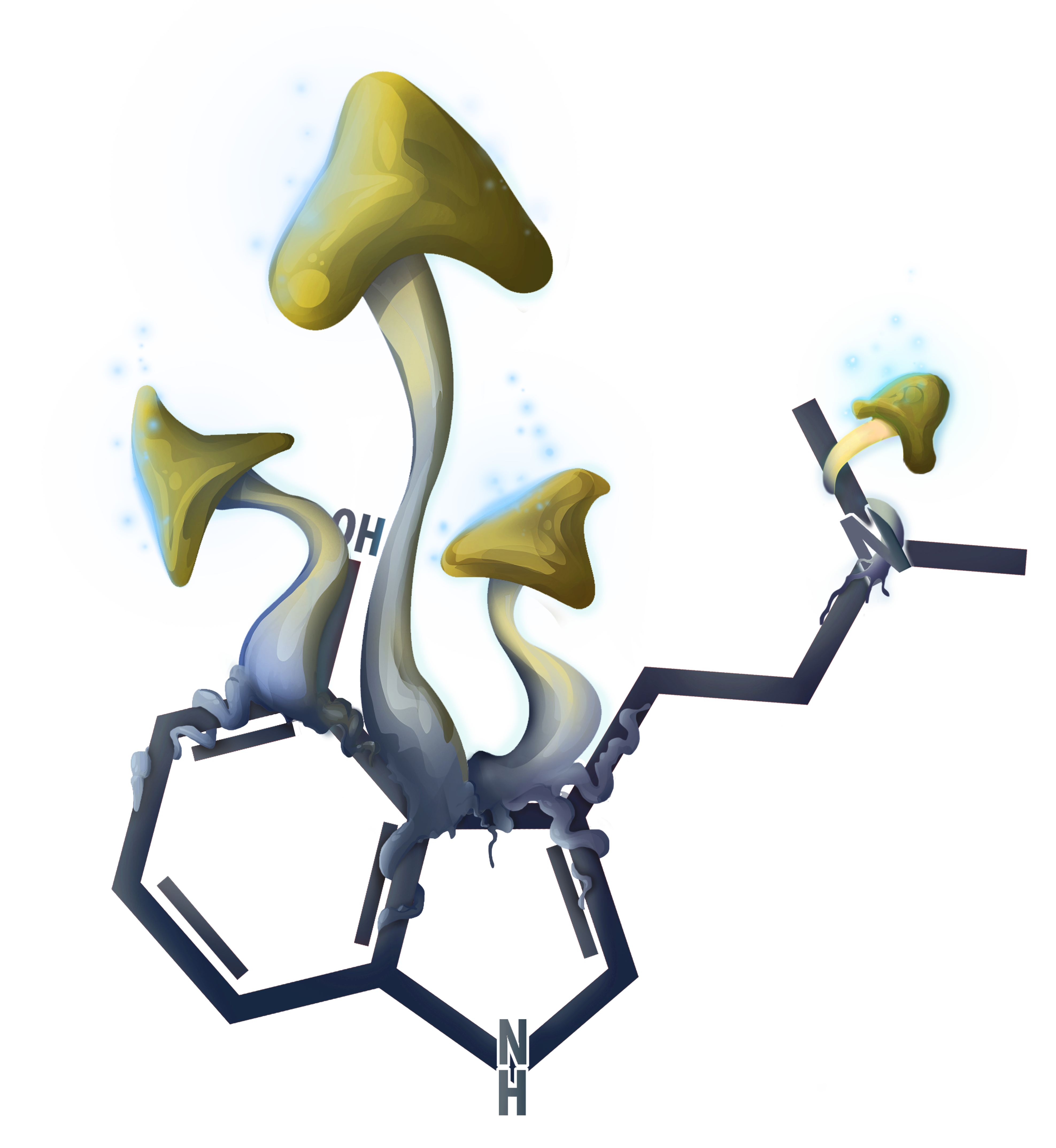 Magic Mushroom Molecule