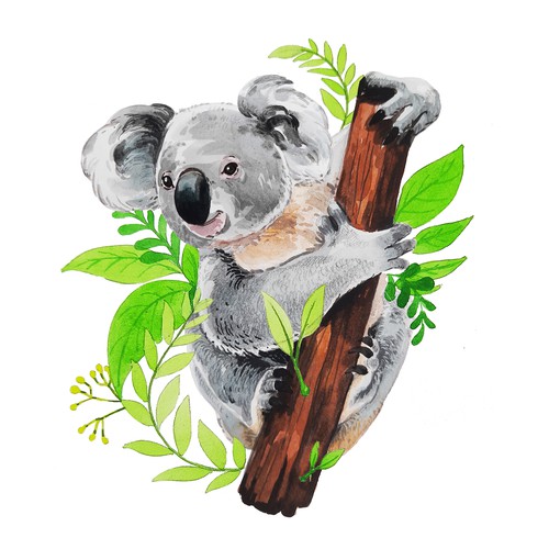 Koala