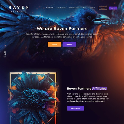 Website for Raven Partners