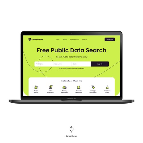 Public Data USA Website Design