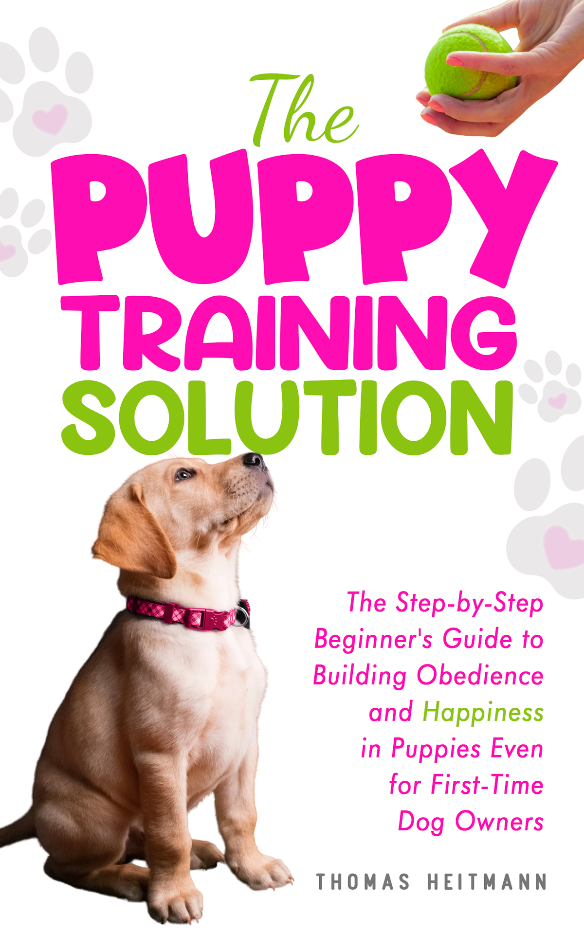 Sweet puppy training image for book cover to appeal to women
