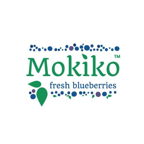 logo concept for blueberries company
