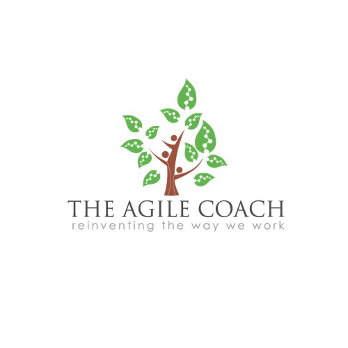 The Agile Coach