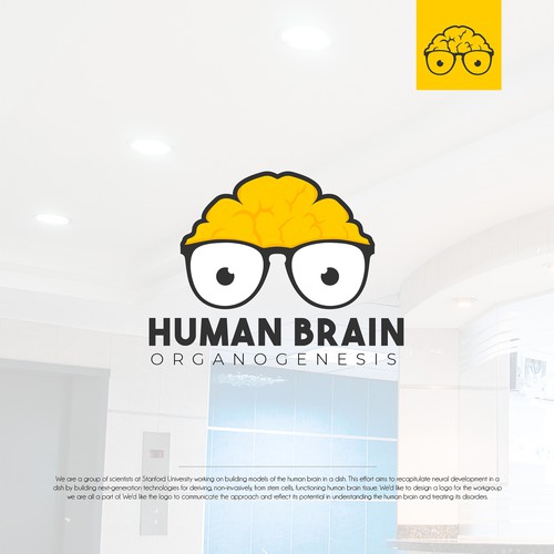 Human Brain Organigensis