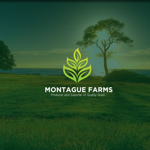 Montague Farms