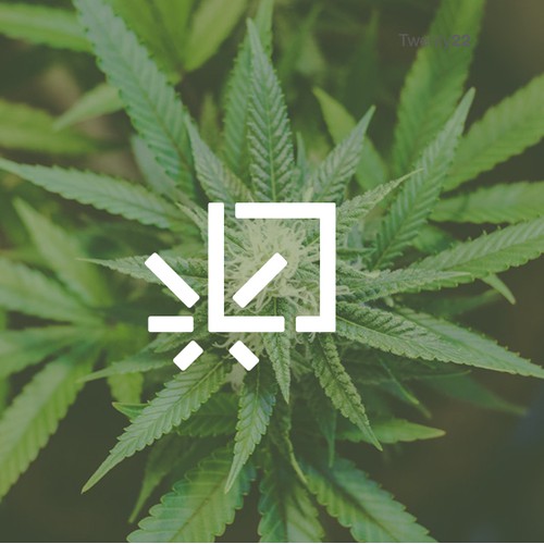 Simple cannabis logo for Corner