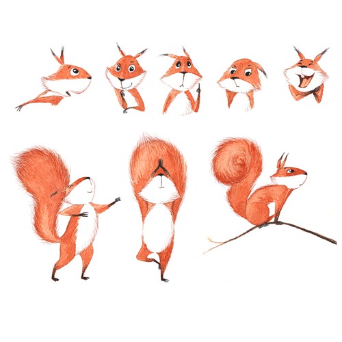 Squirrel character illustration