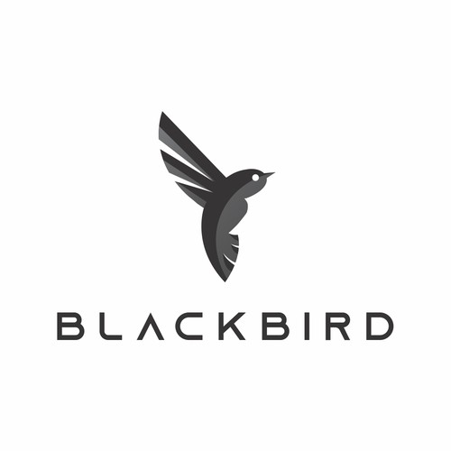 Logomarca BlackBird