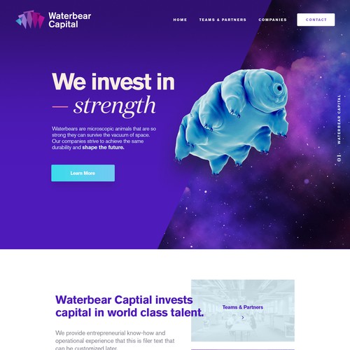 Clean & bold design for investment firm