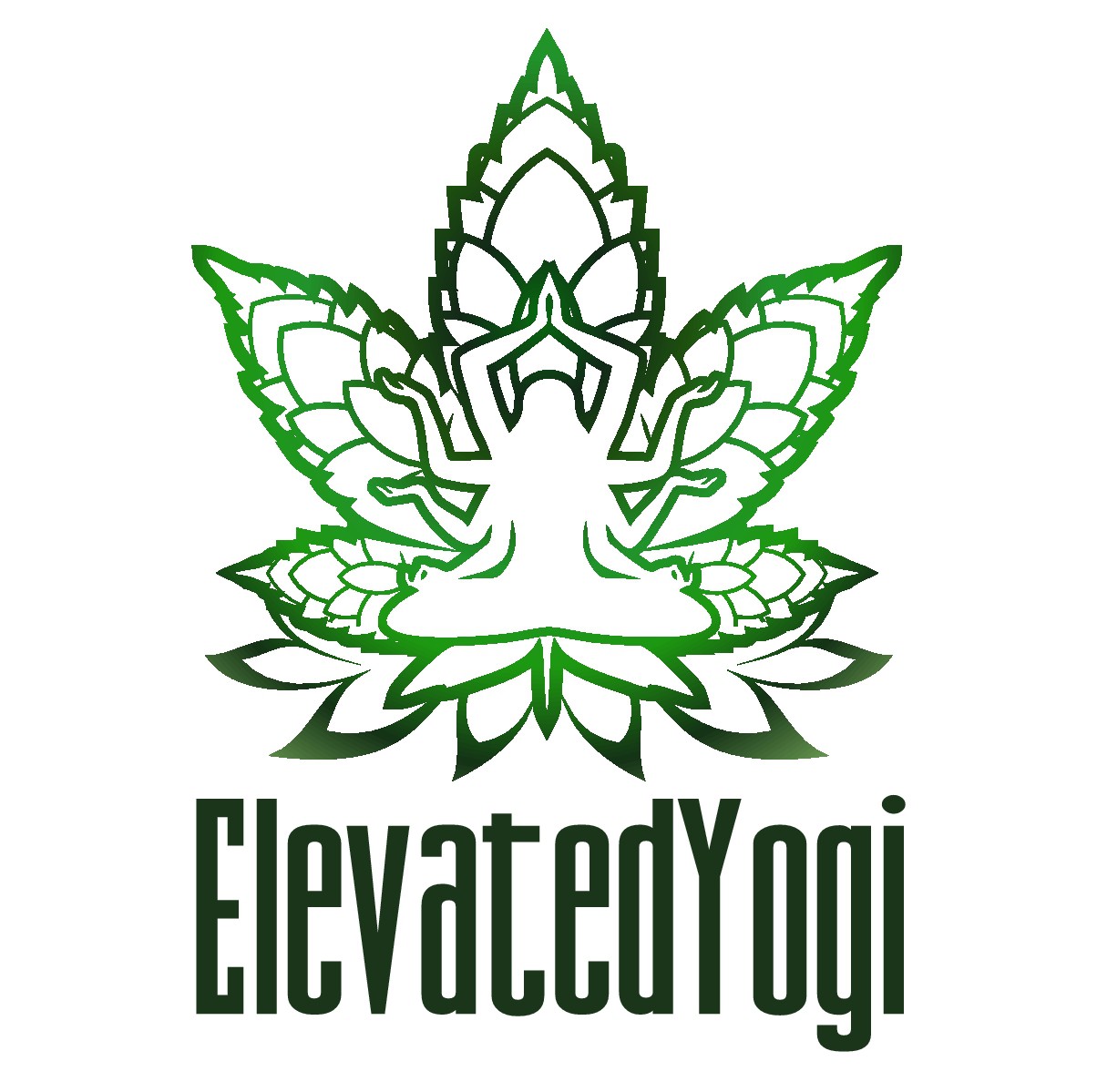 ElevatedYogi