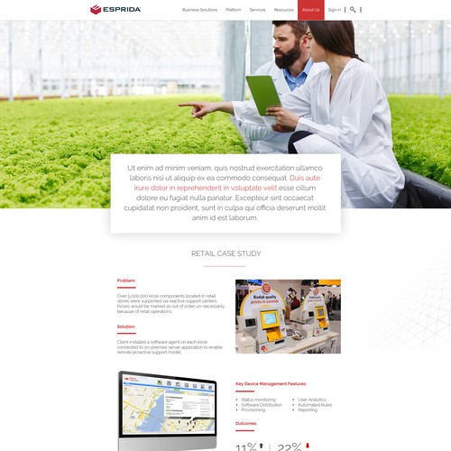 website design
