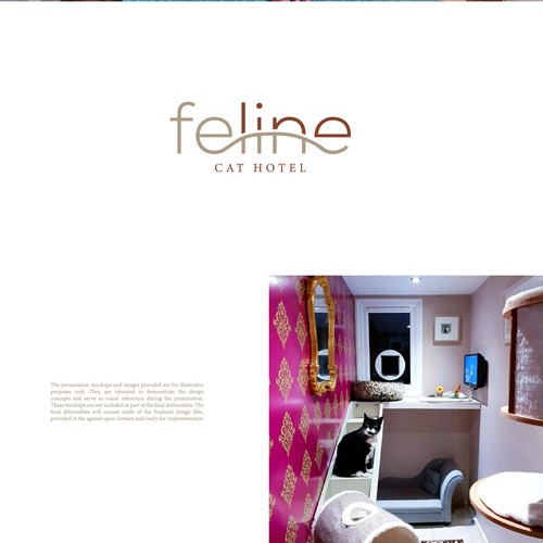 Feline Cat Hotel