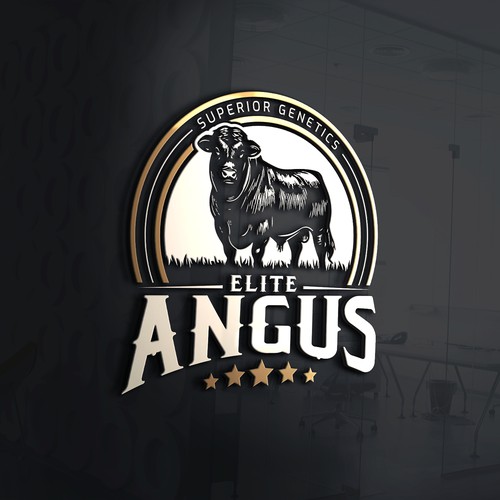 Elite Angus