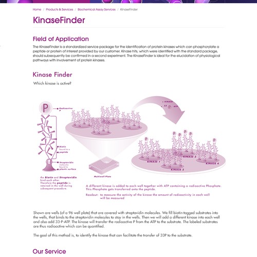 Kinase Finder Illustration Sample