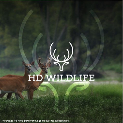 HD Wildlife
