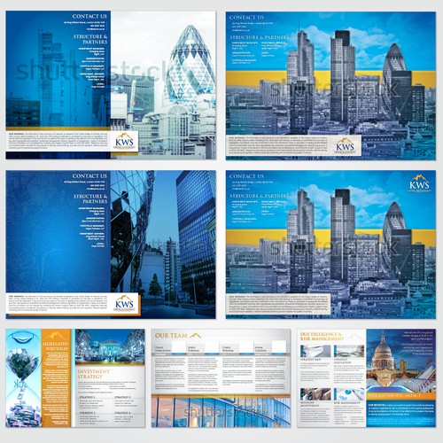High-End Investment Brochure for Financial Services Firm
