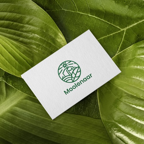 Moolenar Logo Design Concept