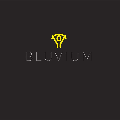 Logo for a management and technology consulting firm in the silicon valley 