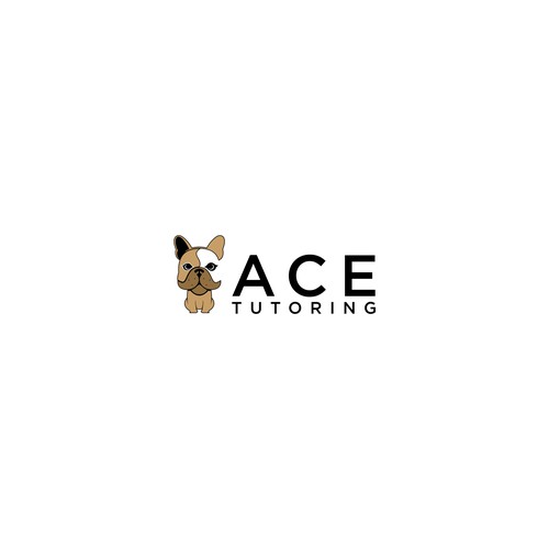 ACE Tutoring