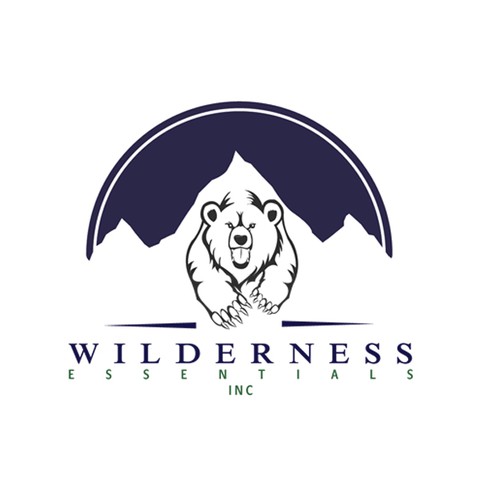 Create a logo for Wilderness Essentials for Prime Time Television.