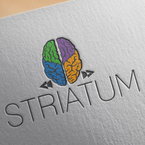 Striatum