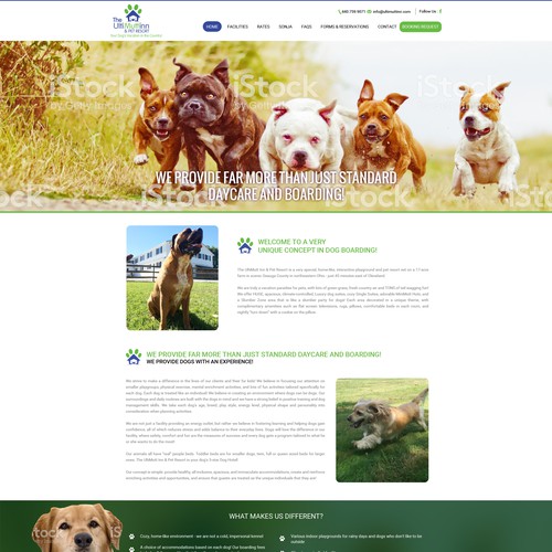 Dog Care Website