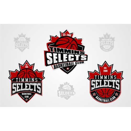 Help Timmins Selects Basketball Club with a new logo