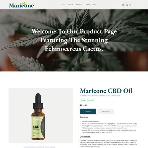 CBD Web Design