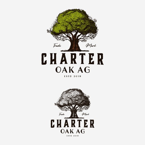 Logo Concept for Charter Oak Ag