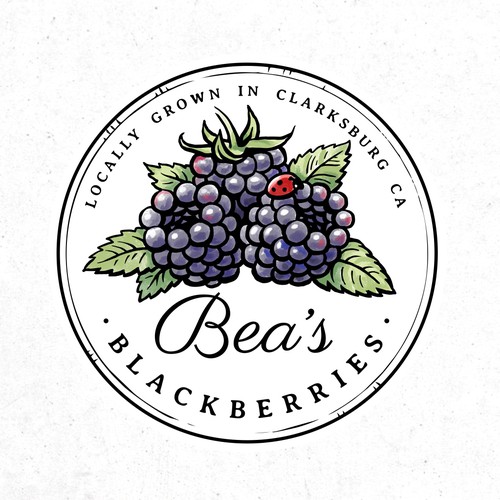 Bea’s Blackberries