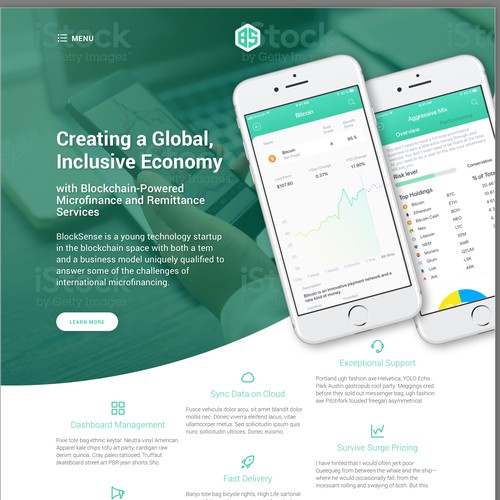 Website for a fintech company