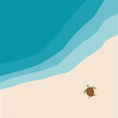 Turtle illustration