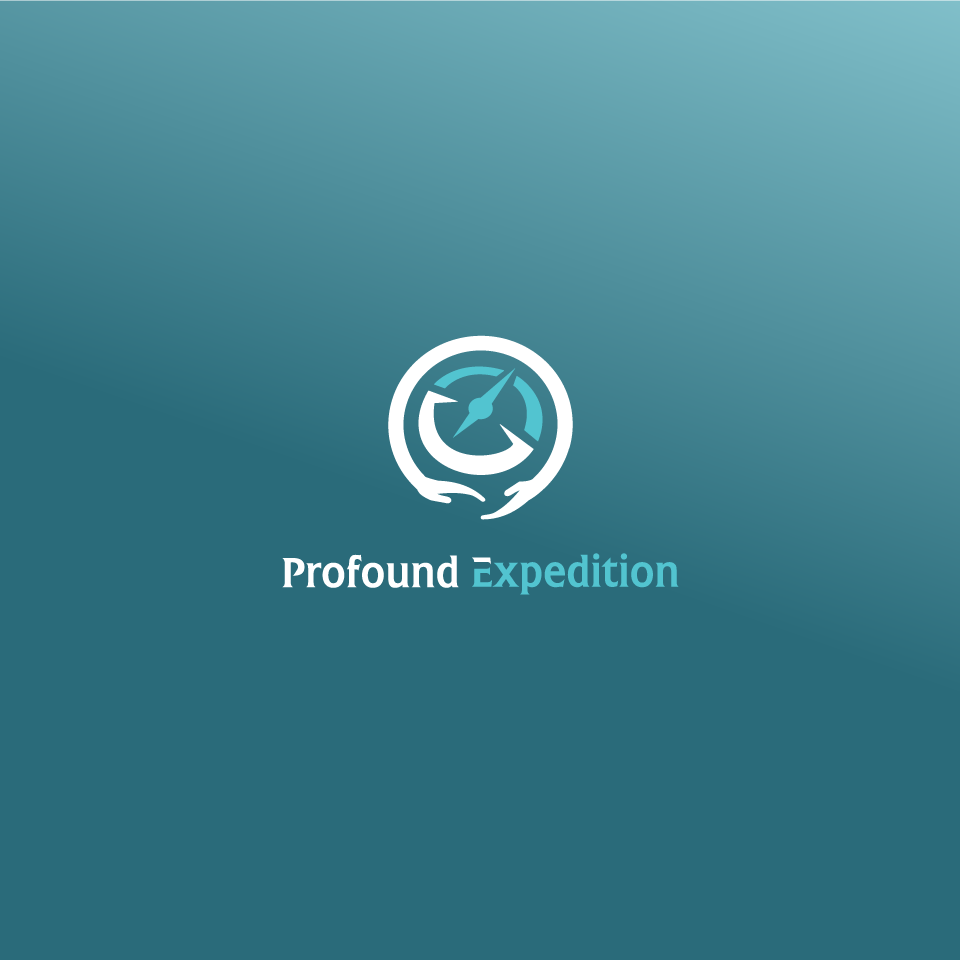 Design a logo for an adventure travel reality show "Profound Expedition"