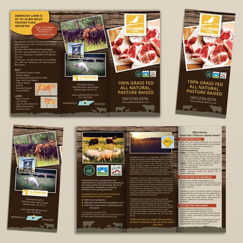 Create a brochure for Yellowbird Farms grass fed beef & lamb