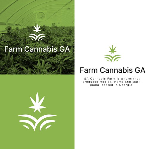 Logo for GA Cannabis Farm