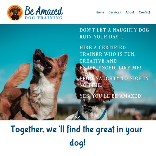 Be Amazed Dog Training
