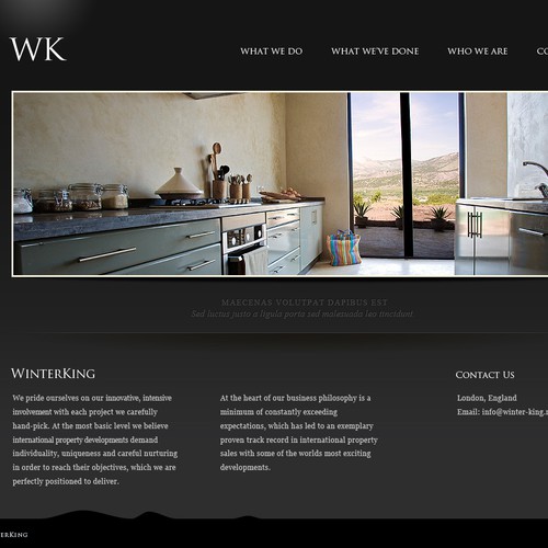 Create the next website design for WinterKing 