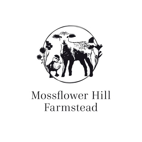 Logo for a small sheep farm with a lamb and a duckling