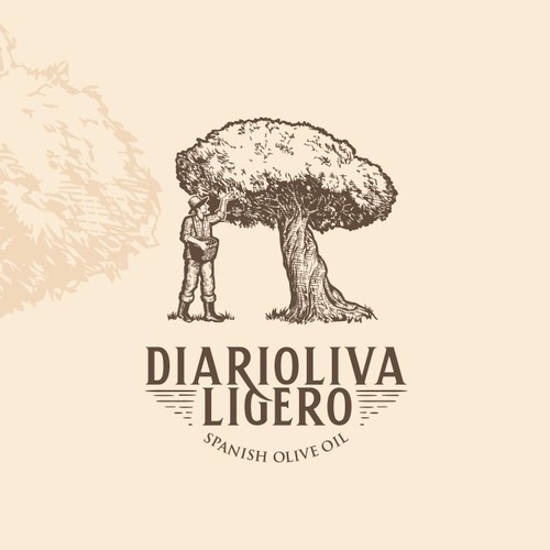 Diarioliva Ligero : Olive Oil Company Logo Concept