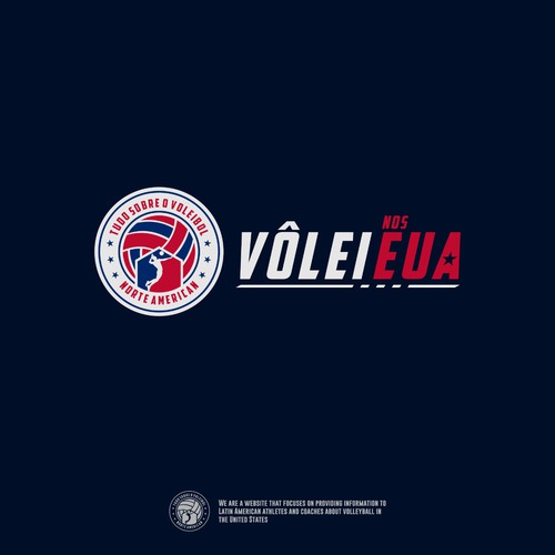 Vôlei nos EUA