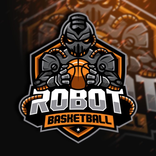 Robot Basketball