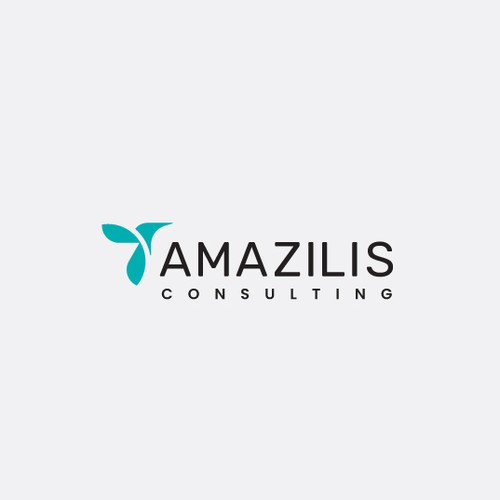 Amazilis Consulting