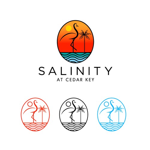 Bold logo for SALINITY
