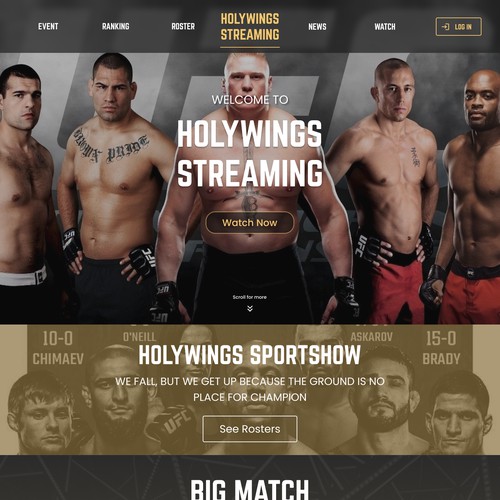 WEB DESIGN HOLYWINGS SPORTS SHOW