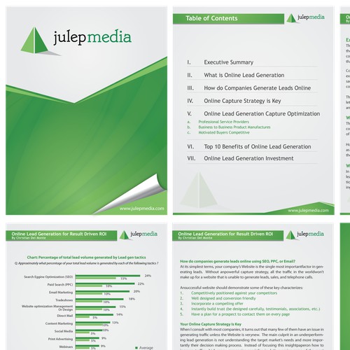 New MS Word Template Design For a White Paper- Julep Media