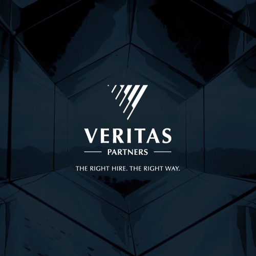 Logo for Veritas Partners