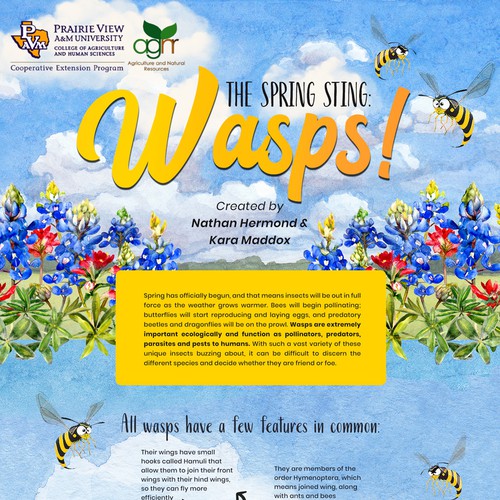 Spring Wasp Guide