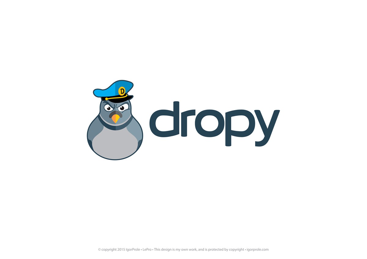 Dropy,新落船系统,将摇滚你的在线商店!