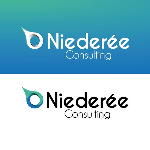 Niederee Consulting Concept V03