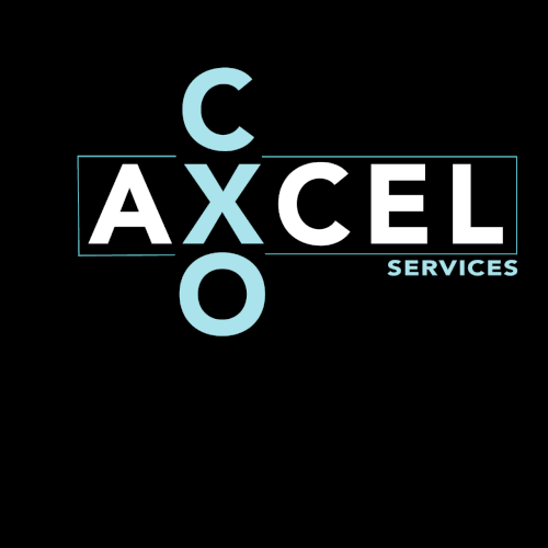 Professional Services Logo Concept